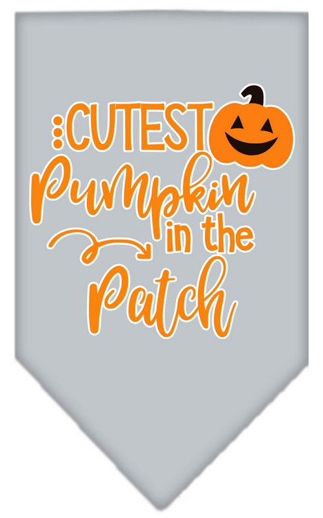 Cutest Pumpkin in the Patch Screen Print Bandana Grey Large